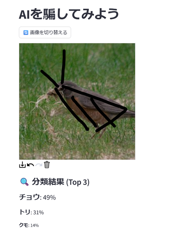 松井研究室